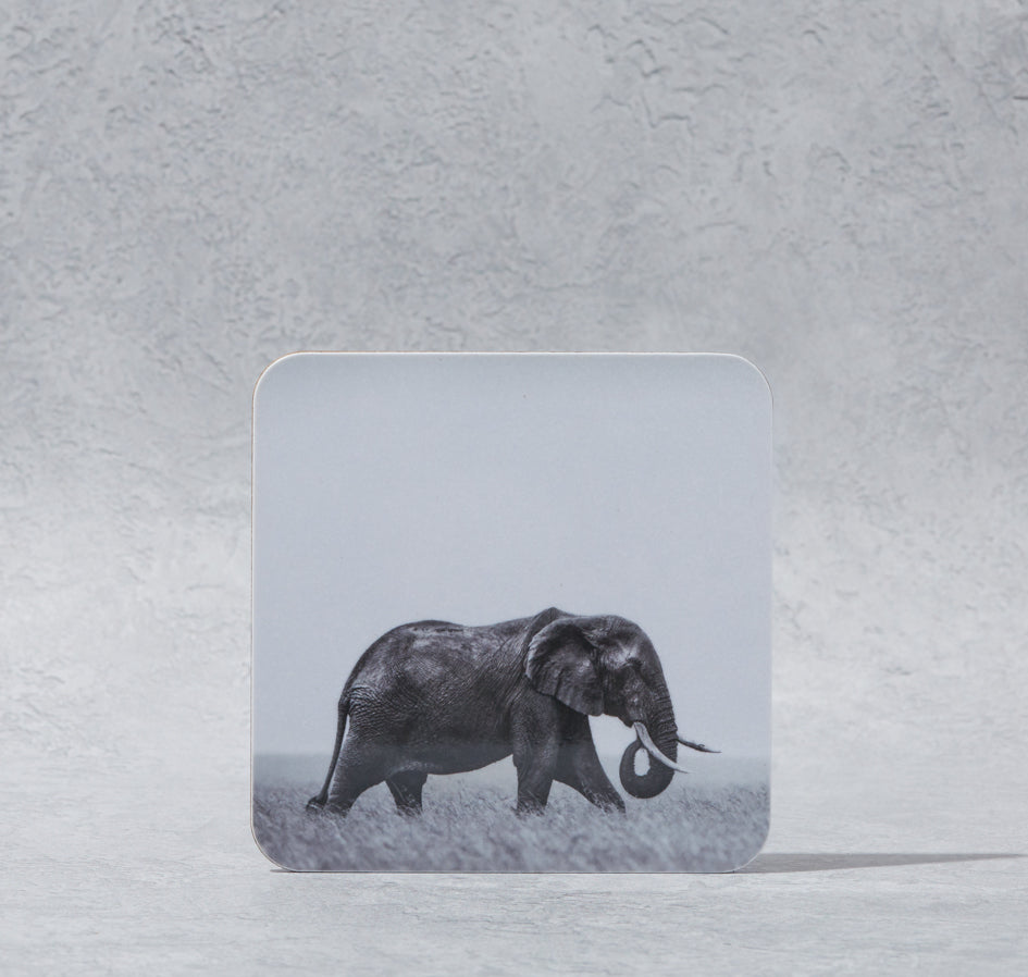 Elephant Coaster