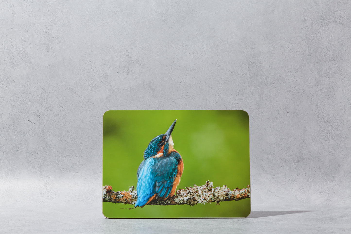 Kingfisher Placemat