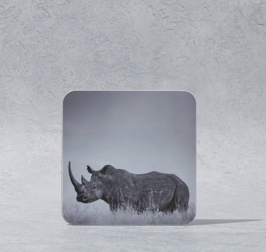 Rhino Coaster