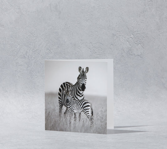 Zebra and Foal Greeting Card