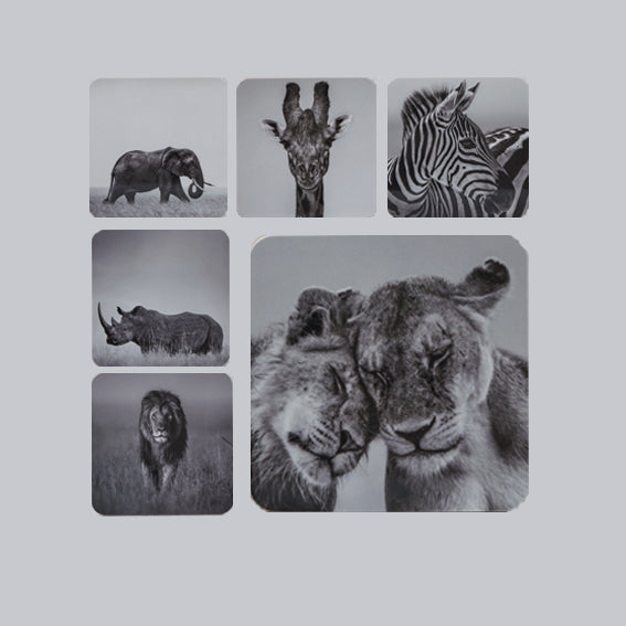 A Set of 6 African Wildlife Coasters