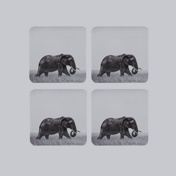 A set of 4 matching African Wildlife coasters
