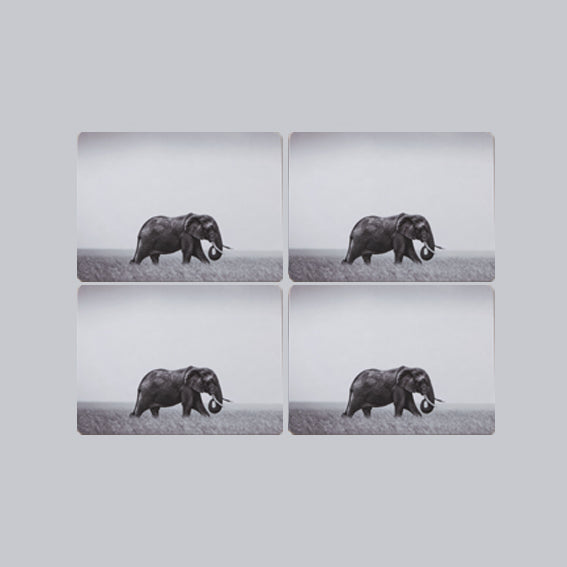 A set of 4 Matching African Wildlife Placemats