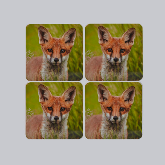 A set of 4 matching British Wildlife Coasters