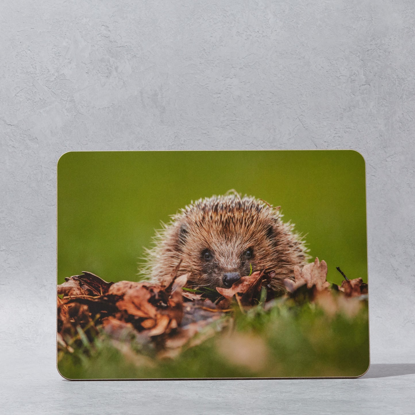 A Set of 6 British Wildlife Placemats