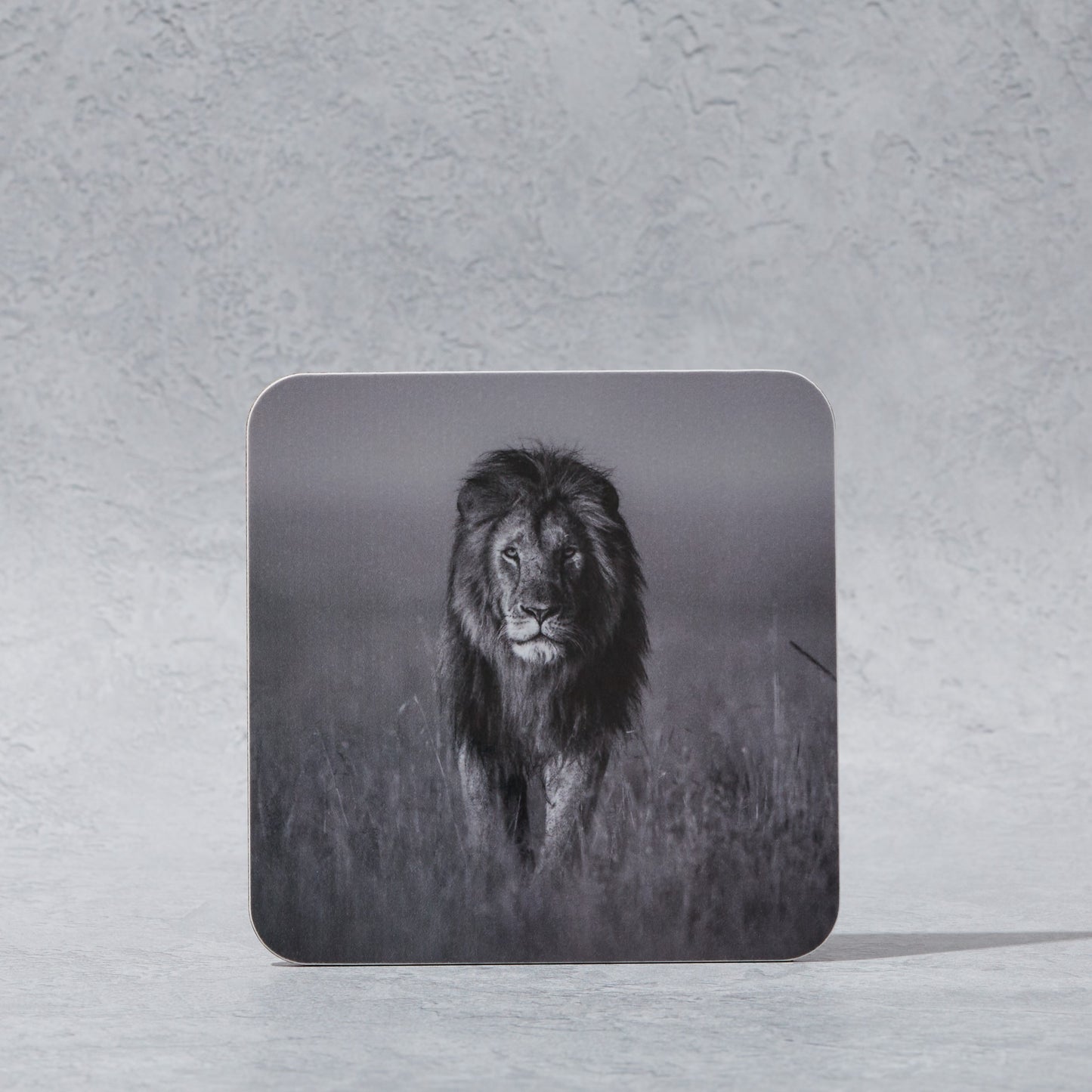 A Set of 6 African Wildlife Coasters